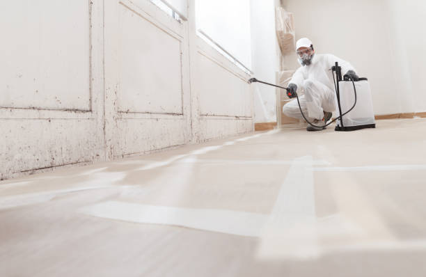 24/7 Emergency Bathroom Mold Removal experts in Kirkwood, PA